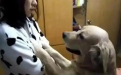 一本道 2018 高清